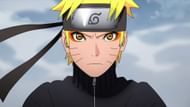 Fans are grateful for 20 amazing years (Image via Studio Pierrot)
